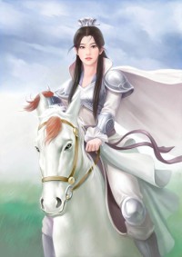星魂大陸I重生之路